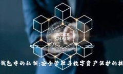 TP钱包中的私钥:安全管理与数字资产保护的核心
