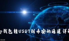 tp钱包转USDT到币安的通道详解