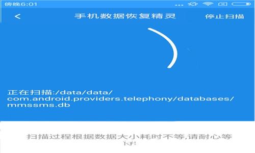 如何调高数字钱包支付额度:步骤与注意事项
