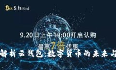 全面解析云钱包:数字货币的未来与发展