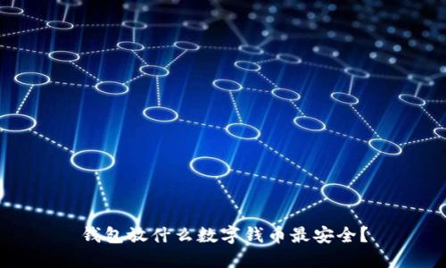 钱包放什么数字钱币最安全?