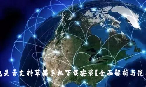 TP钱包是否支持苹果手机下载安装?全面解析与使用指南