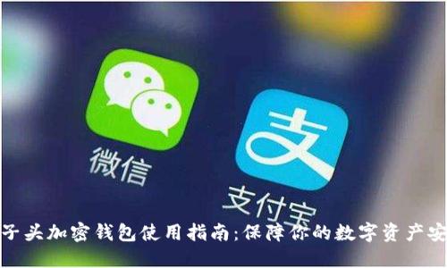 狮子头加密钱包使用指南:保障你的数字资产安全