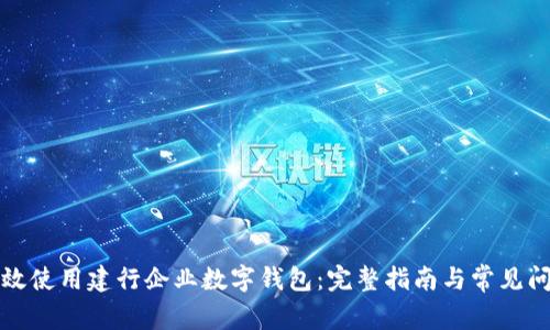 如何高效使用建行企业数字钱包:完整指南与常见问题解答