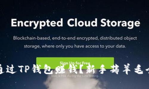 如何通过TP钱包赚钱?新手薅羊毛全攻略