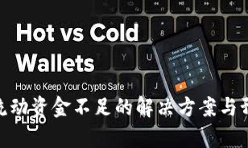 tp钱包流动资金不足的解决方案与预防措施