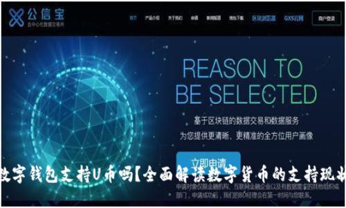 数字钱包支持U币吗?全面解读数字货币的支持现状