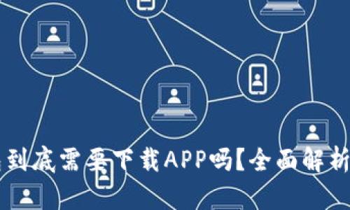 区块链钱包到底需要下载APP吗?全面解析和使用指南