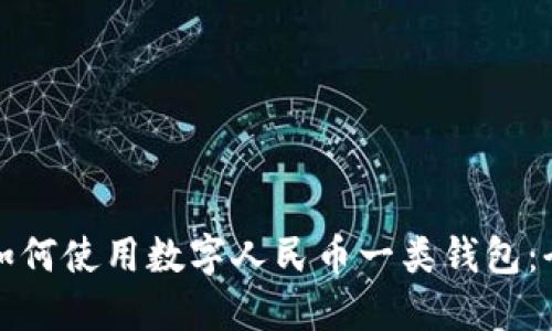 外国人如何使用数字人民币一类钱包：全面指南
