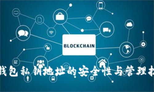 TP钱包私钥地址的安全性与管理技巧