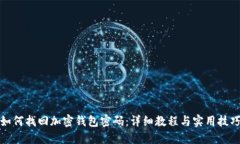 如何找回加密钱包密码:详细教程与实用技巧