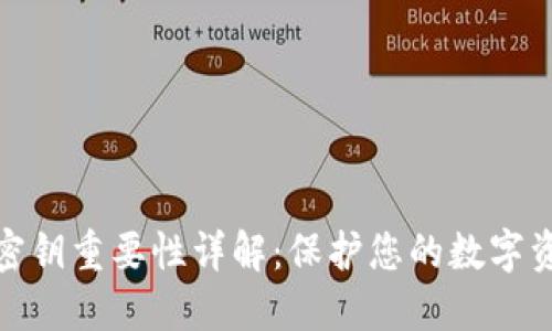 TP钱包密钥重要性详解:保护您的数字资产安全