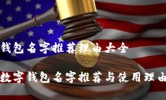数字钱包名字推荐理由大全优质数字钱包名字推