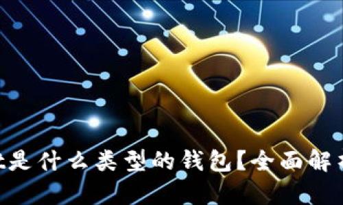 TokenPocket是什么类型的钱包?全面解析与使用指南