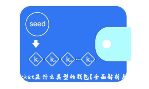 TokenPocket是什么类型的钱包?全面解析与使用指南