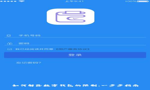 如何解除数字钱包的限制:一步步指南