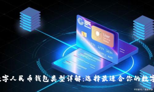 bianoti数字人民币钱包类型详解：选择最适合你的数字支付方式