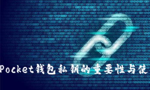 TokenPocket钱包私钥的重要性与使用详解