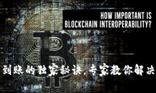 TP钱包不到账的独家秘诀，专家教你解决常见问题