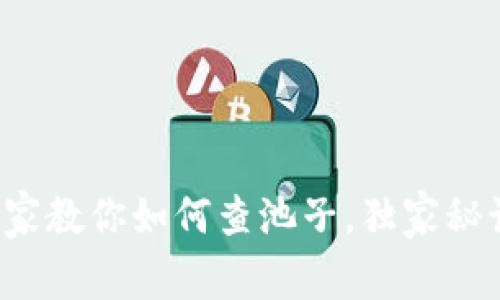 TP钱包专家教你如何查池子，独家秘诀大揭秘！
