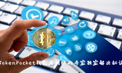 TokenPocket钱包未到账的专家独家解决秘诀