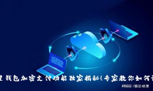三星钱包加密支付功能独家揭秘!专家教你如何设置