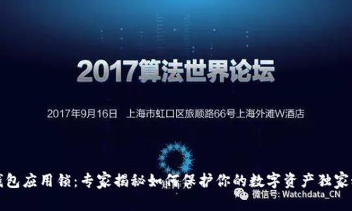 TP钱包应用锁:专家揭秘如何保护你的数字资产独家秘诀
