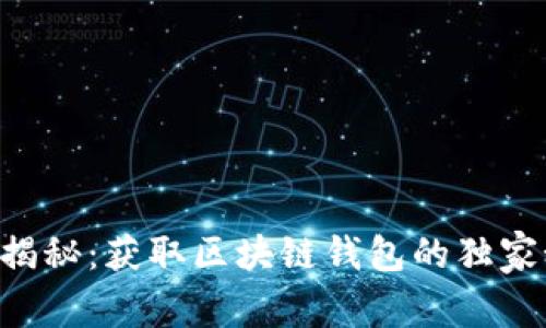 专家揭秘:获取区块链钱包的独家秘诀!