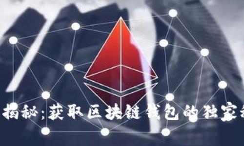 专家揭秘:获取区块链钱包的独家秘诀!