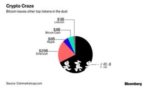 专家揭秘:区块链钱包到底是真是假?独家解析背后的秘密