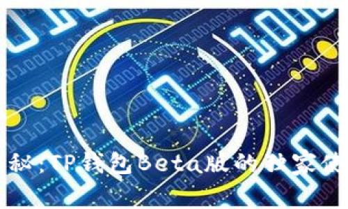 专家揭秘：TP钱包Beta版的独家使用秘诀
