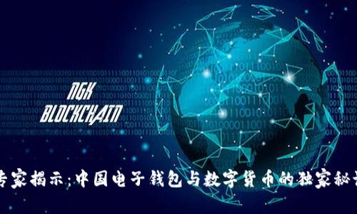 专家揭示：中国电子钱包与数字货币的独家秘诀