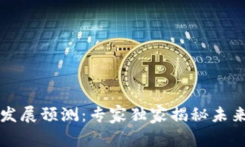 区块链钱包发展预测:专家独家揭秘未来趋势与秘诀